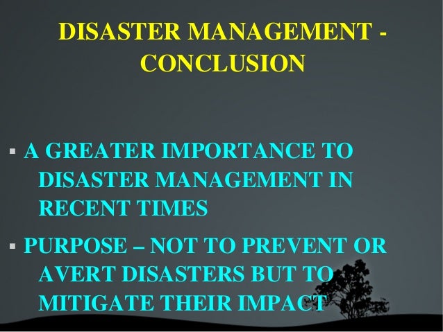 Disaster management essay pdf