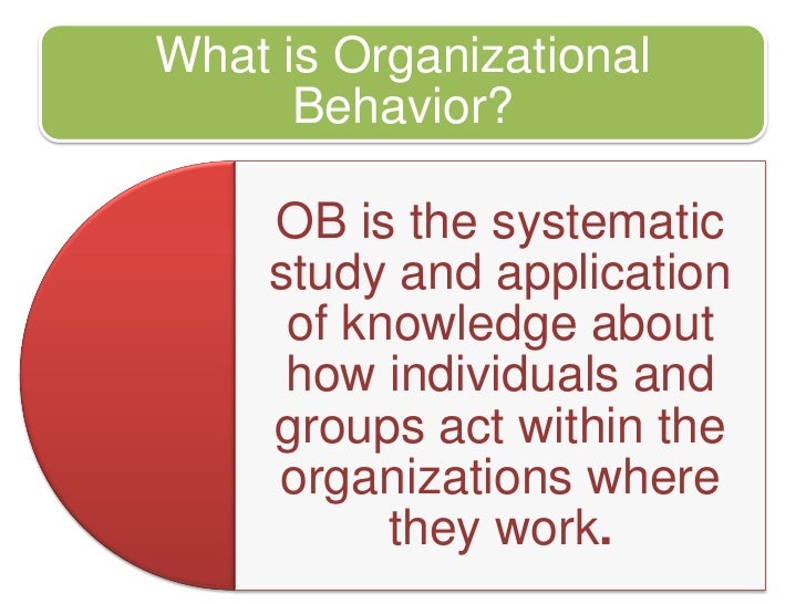 5 anchors of organisational behaviour Steven l mcshane the university of why study organizational behavior 5 perspectives of organizational effectiveness 7 anchors of organizational behavior. 5 anchors of organisational behaviour Steven l mcshane the university of why study organizational behavior 5 perspectives of organizational effectiveness 7 anchors of organizational behavior.