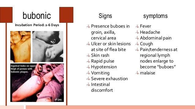the imagery of bleakness and disease the imagery of bleakness and disease