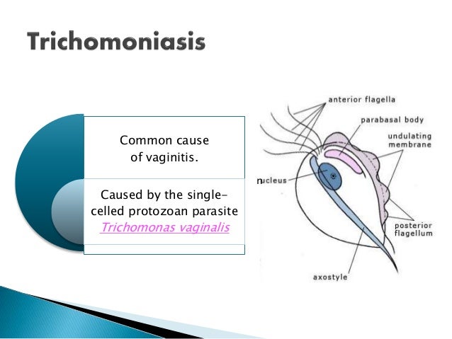 Membrane Foul Mature 98