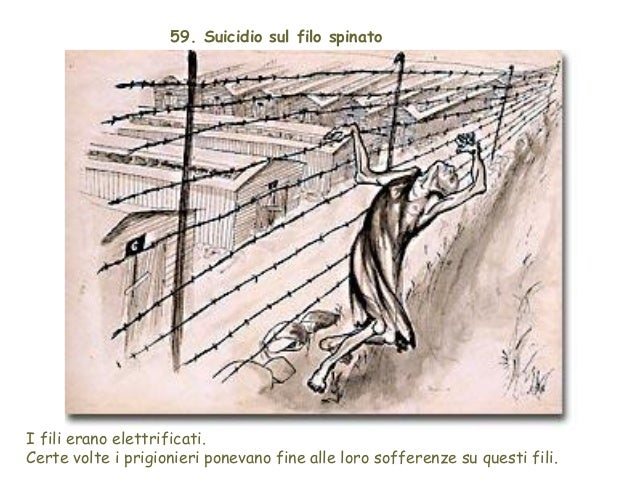 Disegna ciò che vedi