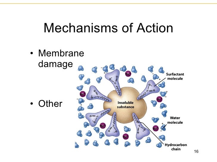Is escitalopram lexapro mechanism of action