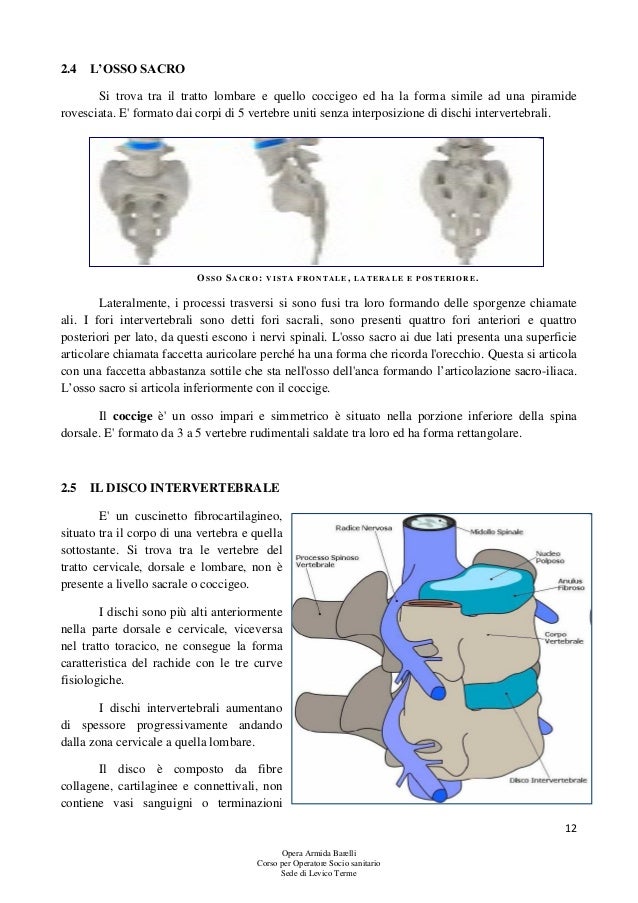 Mal di schiena dopo esercizi su una stampa