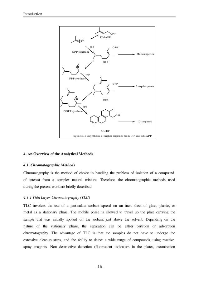 Analytical methods dissertation