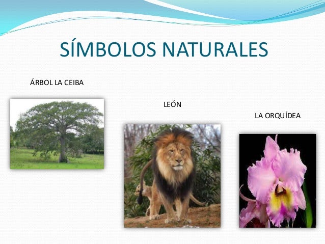 Simbolos Naturales Del Distrito Capital | distrito capital Simbolos Naturales Del Distrito Capital | distrito capital