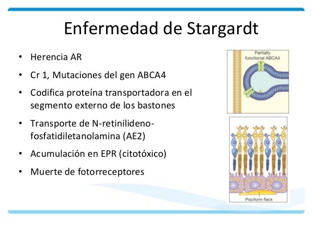 Que blanquea las inflamaciones sobre la persona