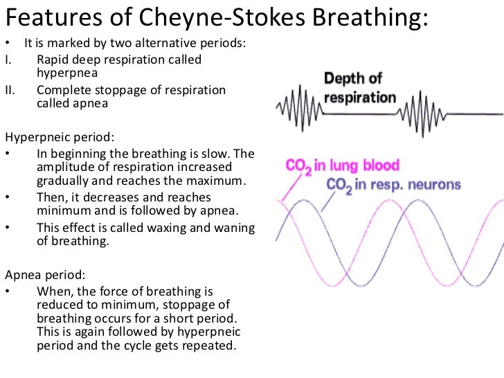Disturbances of respiration 2