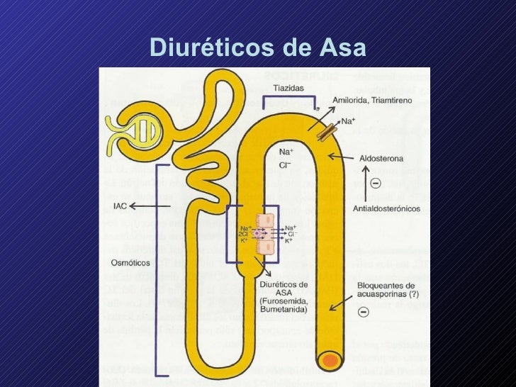 valtrex zoster dosage valtrex zoster dosage