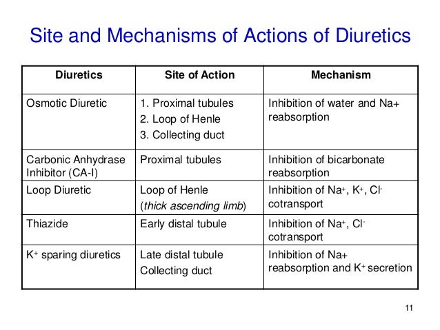 mechanism of action of loop diuretics slideshare