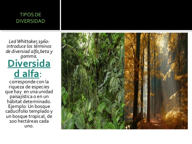 Diversidad alfa, beta_y_gamma