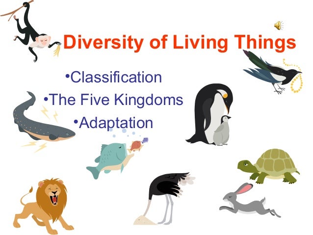diversity of living things Introduction in this tutorial you will be learning about the linnaean system of classification used in the biological sciences to describe and categorize all living things the focus is on finding out how humans fit within this system in addition, you will discover part of the great diversity of life forms and come to understand why some. diversity of living things Introduction in this tutorial you will be learning about the linnaean system of classification used in the biological sciences to describe and categorize all living things the focus is on finding out how humans fit within this system in addition, you will discover part of the great diversity of life forms and come to understand why some.