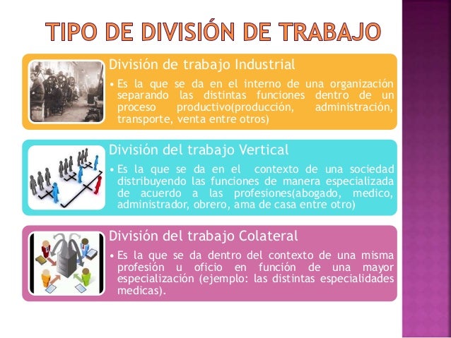 Division del trabajo