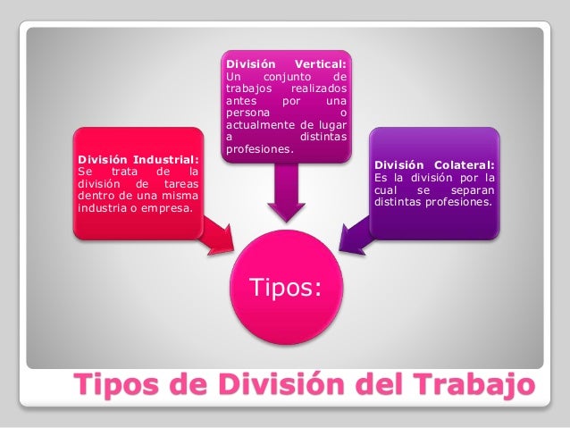 División del Trabajo