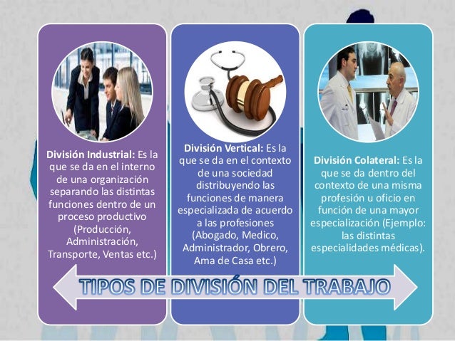 Division de trabajo