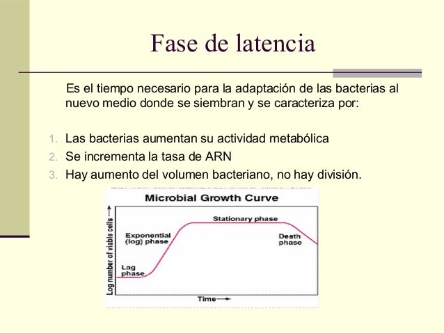 Division y crecimiento bacteriano (1)