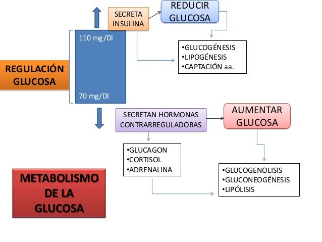 Diabetes Mellitus Diabetes Mellitus