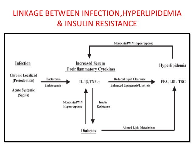 Phd thesis on diabetes mellitus