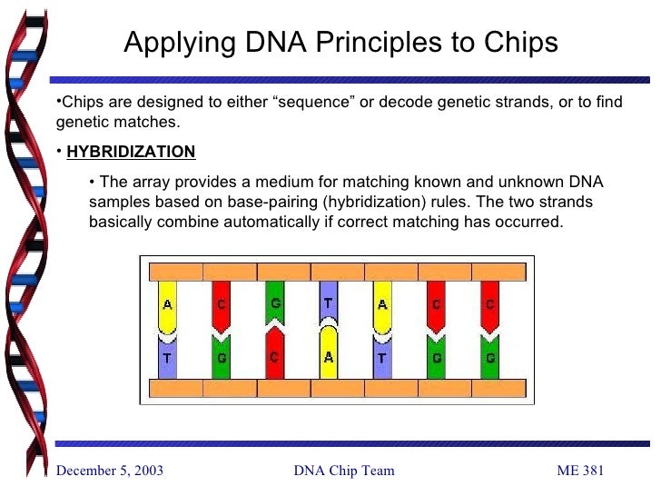 DNA Chip