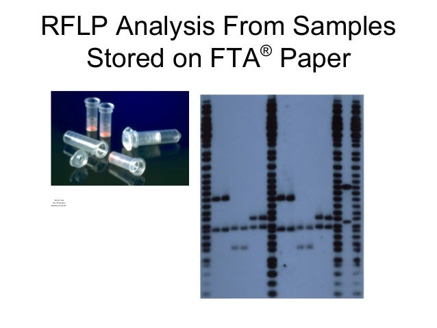 Dna extraction research paper