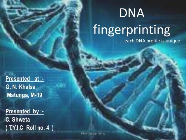 dna fingerprinting lab essay dna fingerprinting lab essay