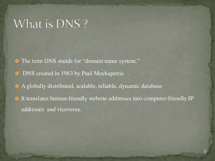 Term paper on domain name system