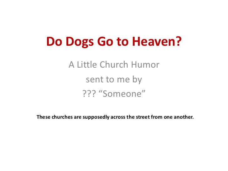 do dogs go to heaven do dogs go to heaven do dogs go to heaven do dogs go to heaven