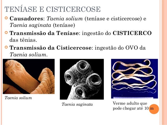 Do que tratar vermes que pastilhas