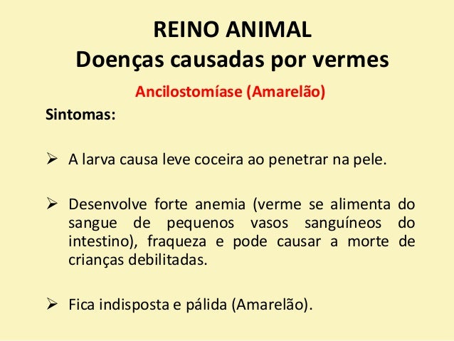 Vermes em carne de vaca de foto