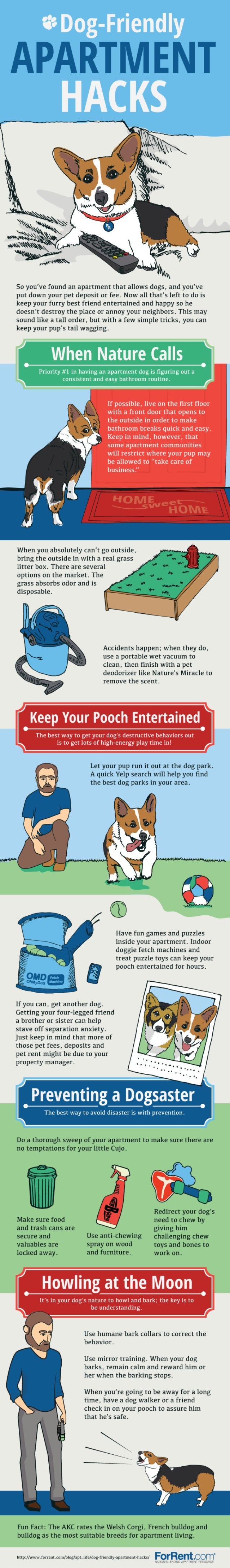 how to make your puppy you how to make your apartment friendly how to make your puppy you how to make your apartment friendly