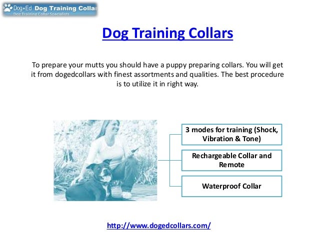Image Result For Dog Training Classes Taunton Image Result For Dog Training Classes Taunton