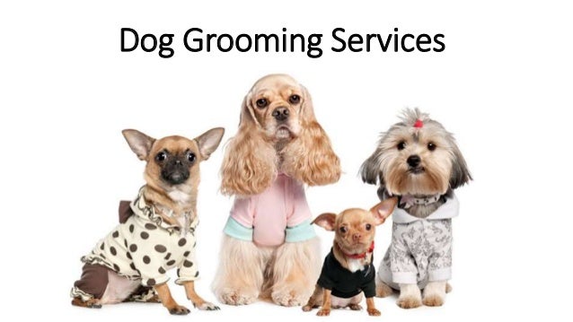 Dog Grooming Services