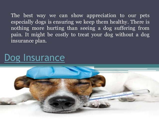 Healthy Pets Dog Insurance Reviews Healthy Pets Dog Insurance Reviews