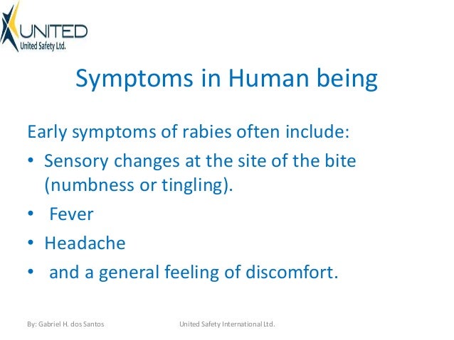 rabies symptoms in dogs pics for gt human with rabies symptoms rabies symptoms in dogs pics for gt human with rabies symptoms