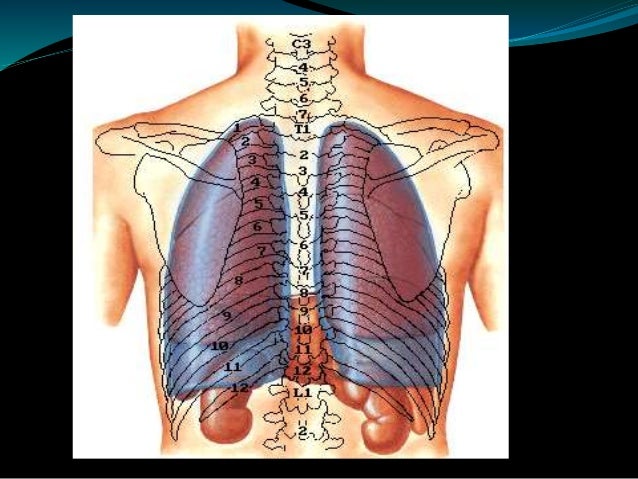 Duele el cuello y la parte de la cabeza