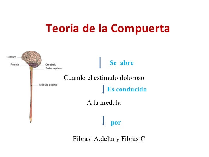 Dolor fer Dolor fer