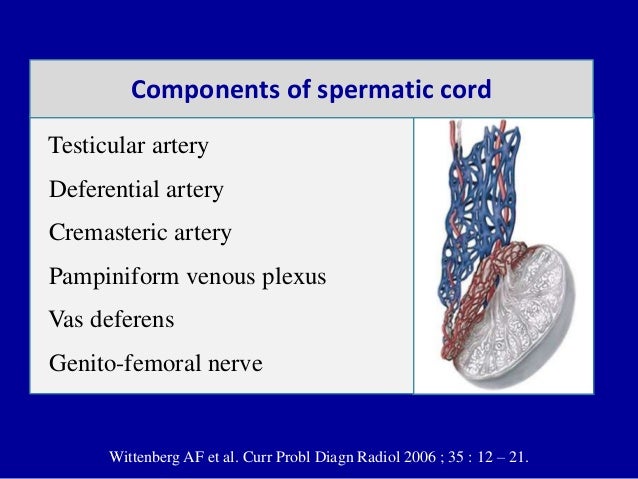 William J. Zwiebel William J. Zwiebel