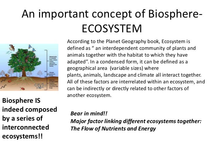 Biosphere, Biodiversity and Change