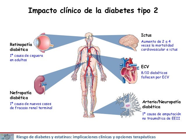 Impacto clínico de la diabetes en el riesgo cardiovascular Impacto clínico de la diabetes en el riesgo cardiovascular