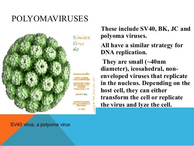 Dra consist viruses presentation