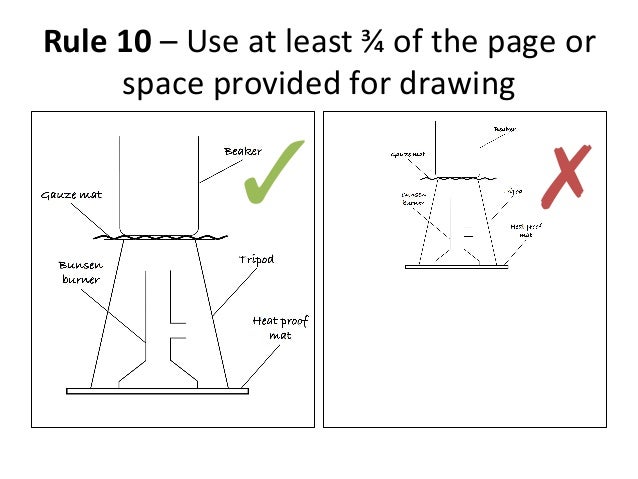 drawing biological diagrams drawing scientific diagram drawing biological diagrams drawing scientific diagram