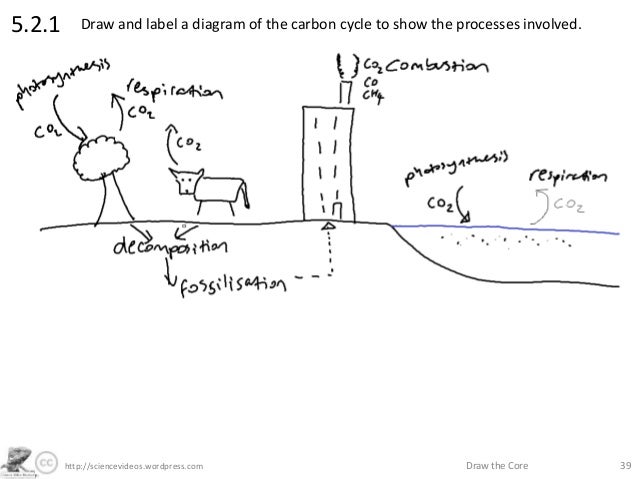 Diffusion Diagram Labeled Draw And Label a Diagram