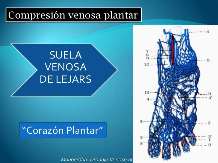 El medio público del picor varikoza de las venas en los pies