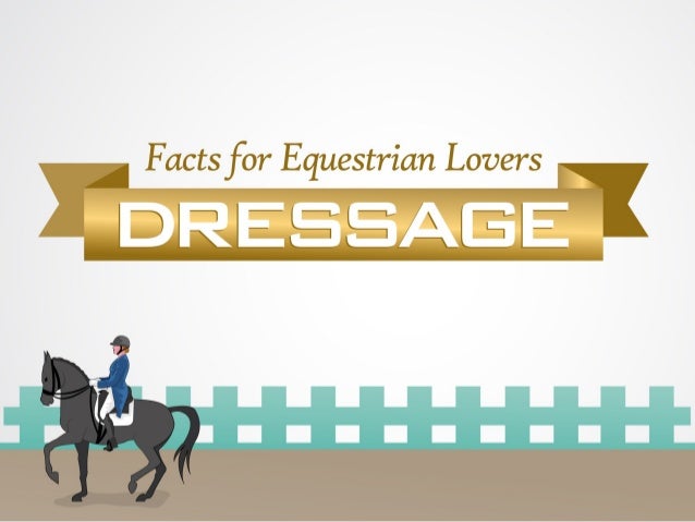 Equestrian Facts For Kids Equestrian Facts For Kids