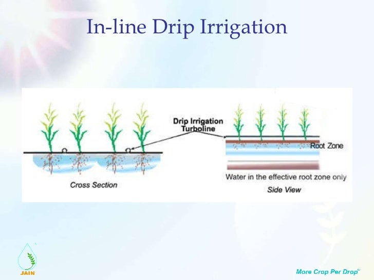 28 best drip irrigation cost estimate drip irrigation system design basic aspects technical 28 best drip irrigation cost estimate drip irrigation system design basic aspects technical