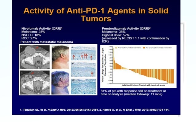 Tratamiento Del Cancer Por Inmunoterapia