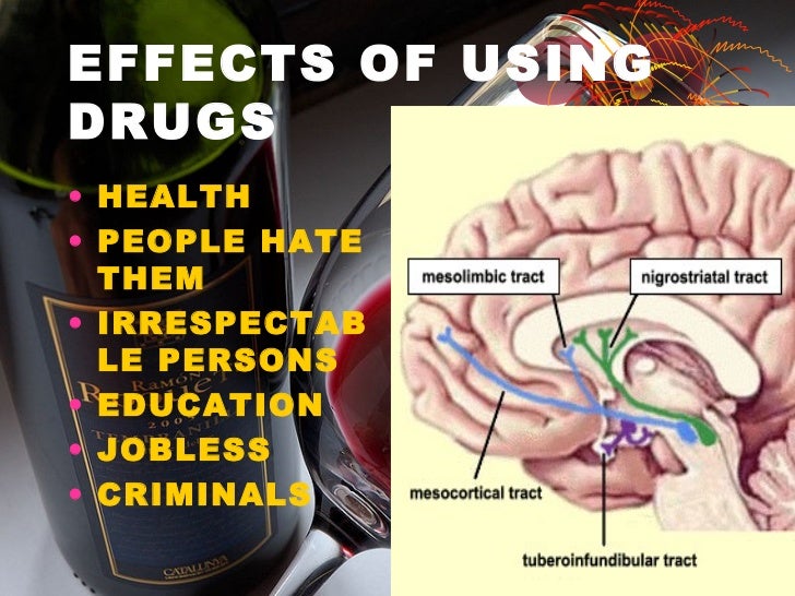 effects of drugs on the brain essay Home // psychological science // research in action // speaking of psychology: marijuana your brain on drugs opposing effects to thc in the brain and it. effects of drugs on the brain essay Home // psychological science // research in action // speaking of psychology: marijuana your brain on drugs opposing effects to thc in the brain and it.