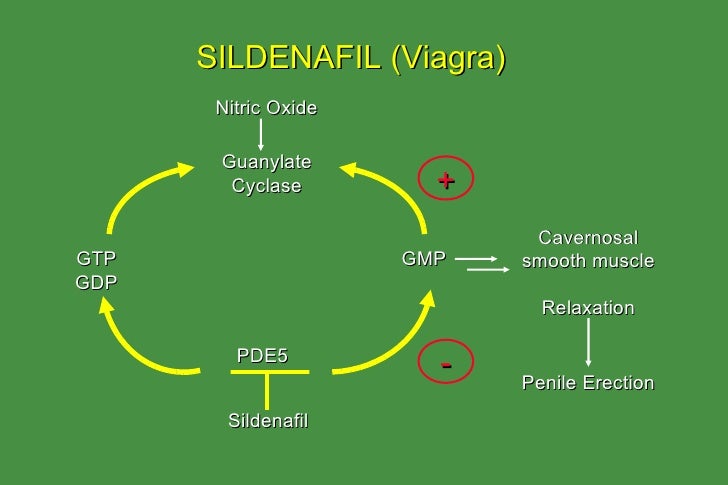 Viagra nitric oxide