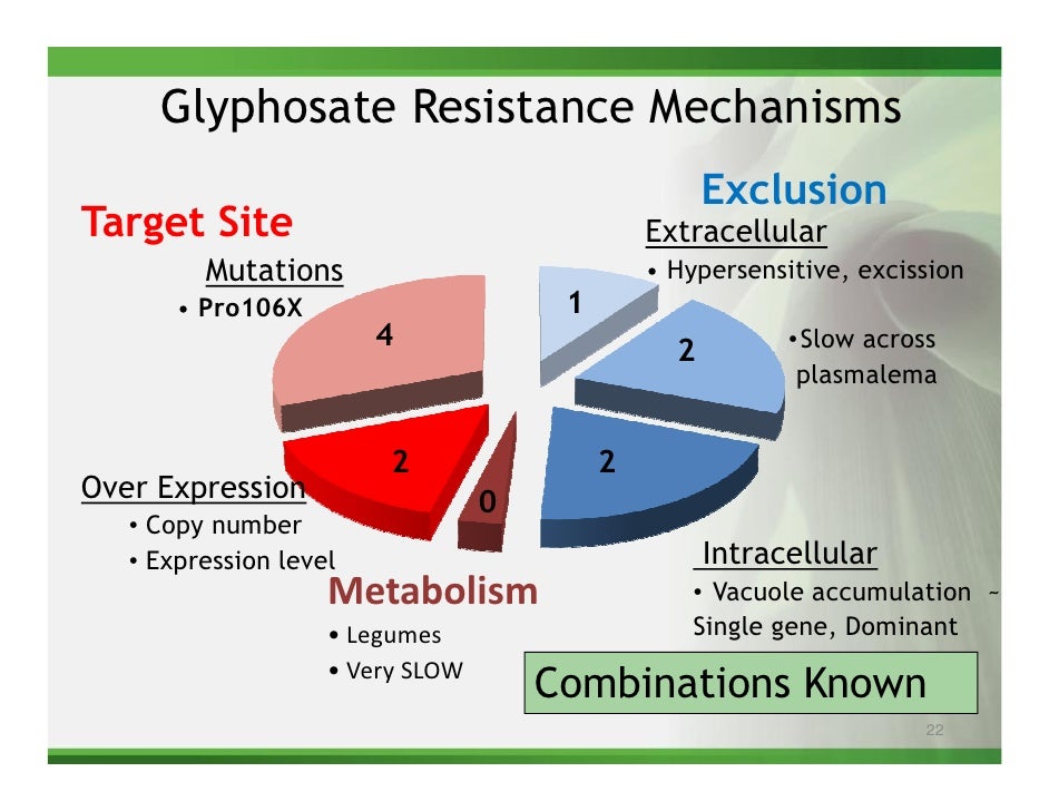 glyphosate resistance