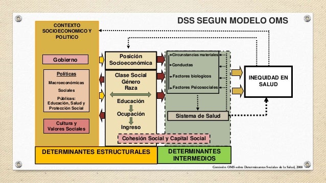 DSS SEGUN LA OMS DSS SEGUN LA OMS