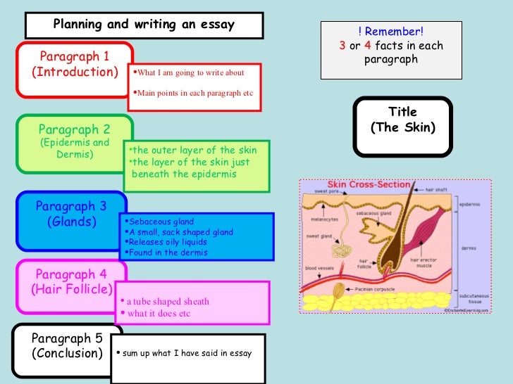 Essay On Teaching Strategies
